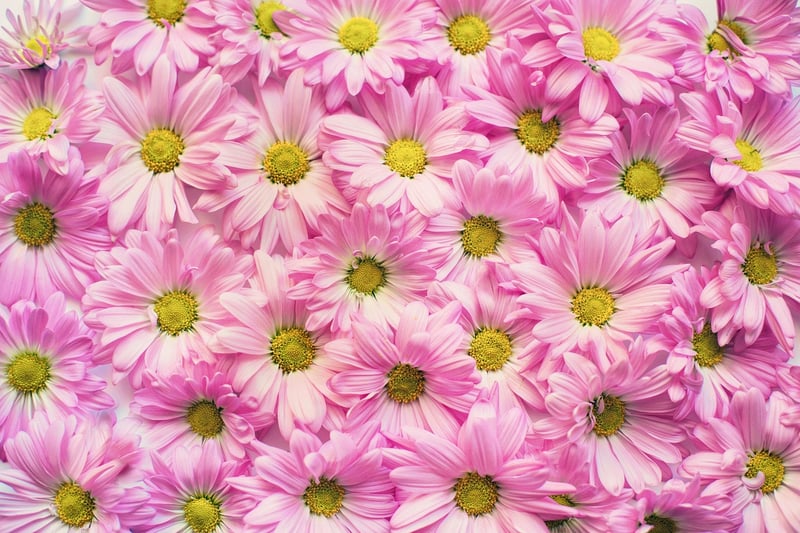 Garden backdrops